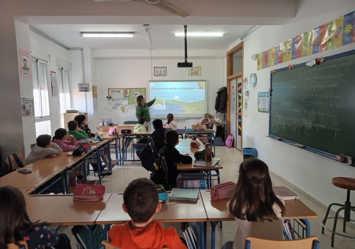 Actividad formativa en las aulas por miembros del colectivo.