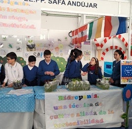 MÉTODOS DE CULTIVO SOSTENIBLE IMPULSADOS POR SAFA ANDÚJAR.