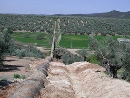 Actualización del riego del Rumblar.