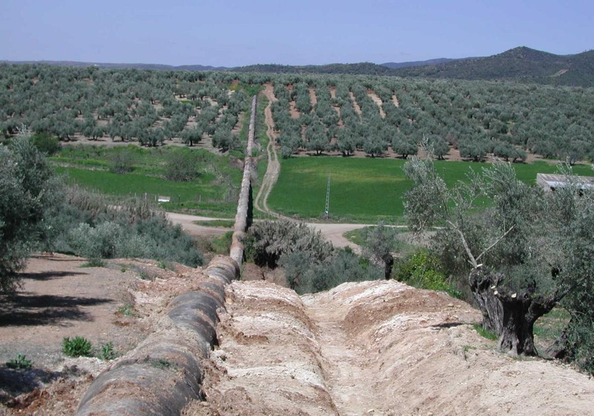 Asaja indica que la reforma de los regadíos del Rumblar «era necesaria»