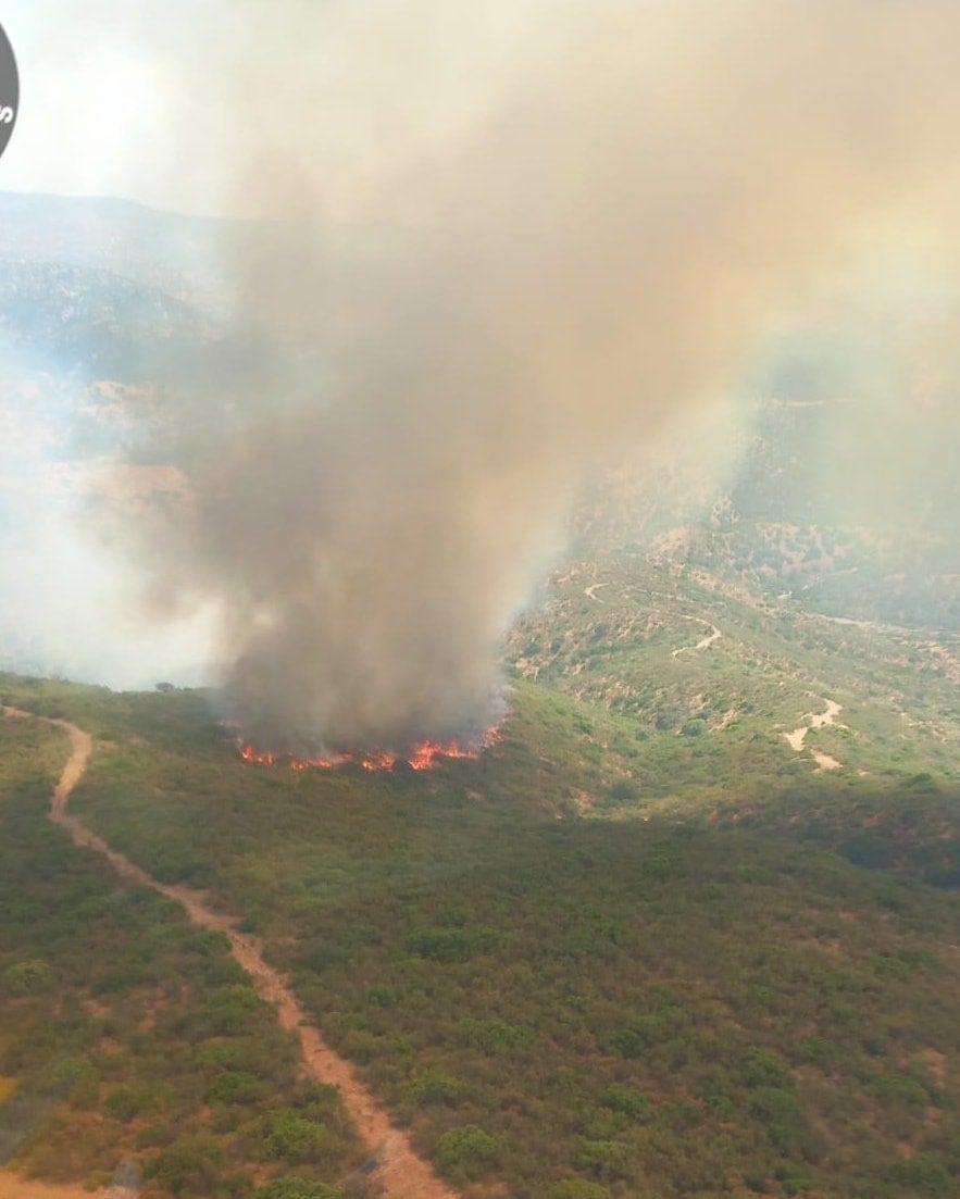 PARAJE DONDE SE HA PRODUCIDO EL FUEGO DE HOY MARTES.