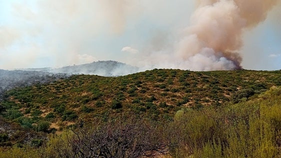 PARAJE DONDE SE HA PRODUCIDO EL FUEGO DE HOY MARTES.