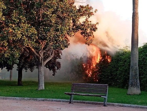 La rapidez y la eficacia de los bomberos permiten que los fuegos no causen más estragos en la zona