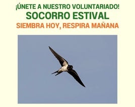 ESLOGAN DE LA CAMPAÑA.