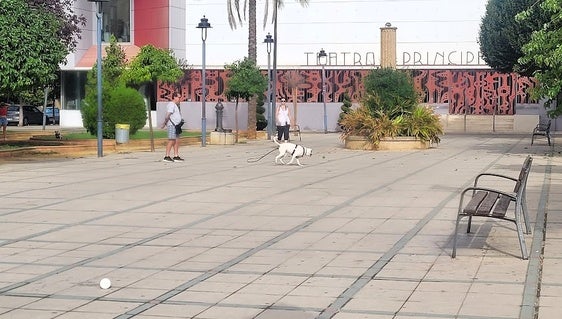 La plaza del Camping será objeto de una gran reforma