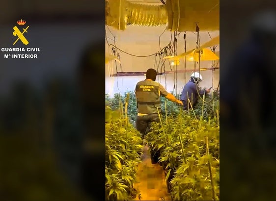 La Guardia Civil desmantela una plantación de marihuana en una vivienda deshabitada en Porcuna