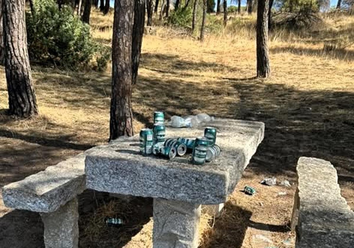 El colectivo Ameco pide el fin de la suciedad del Camino Viejo