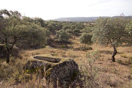 Material geológico de granito que delata la existencia de las tumbas.