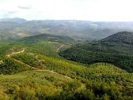 VEREDAS QUE ATRAVIESAN LA SERRANÍA.