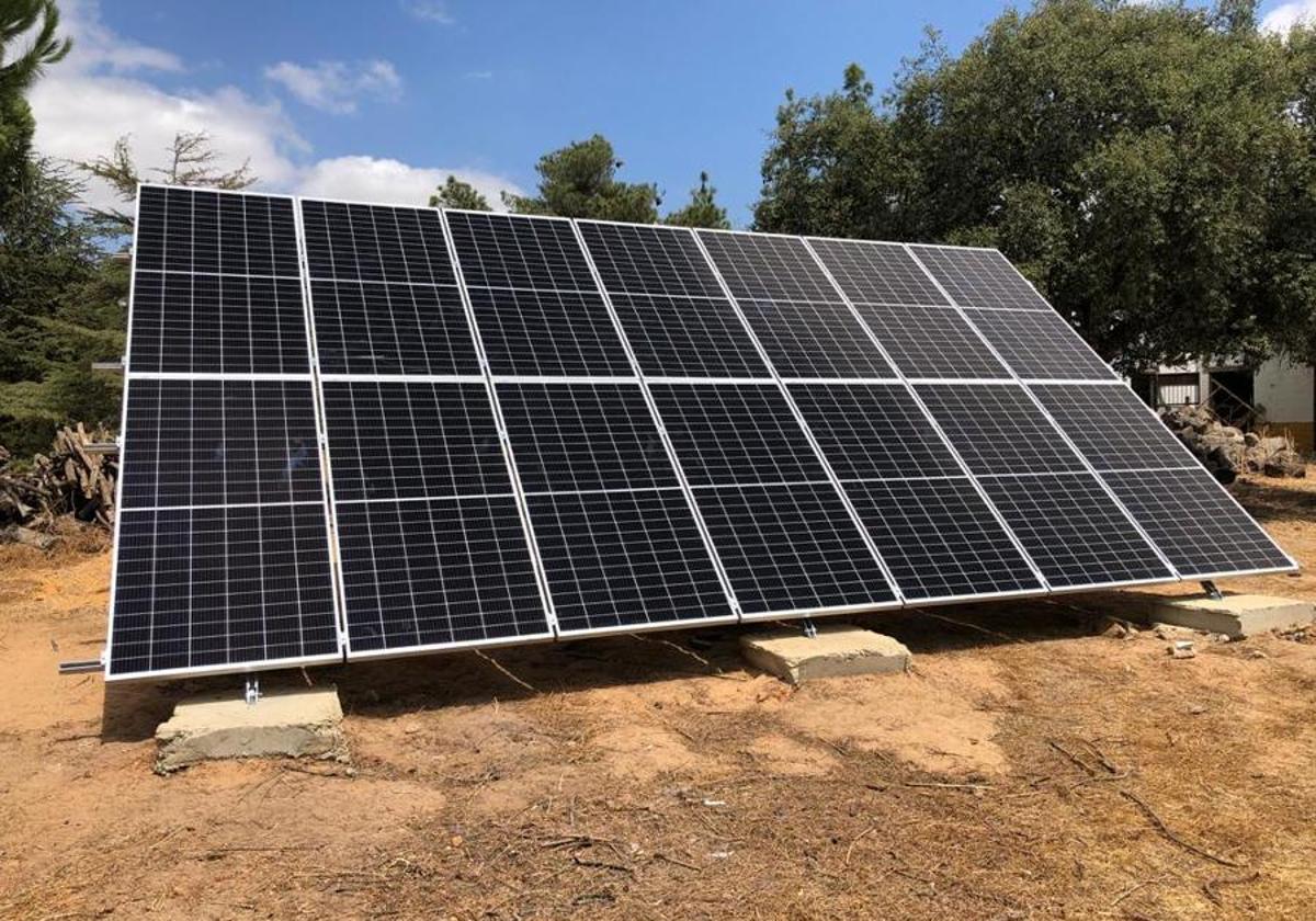 Planta foltovoltaoicas en olivares.