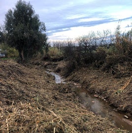ESTADO ACTUAL DEL ARROYO.