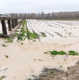 CULTIVOS ANEGADOS DE AGUA POR EL ENJAMBRE DE BORRASCAS.
