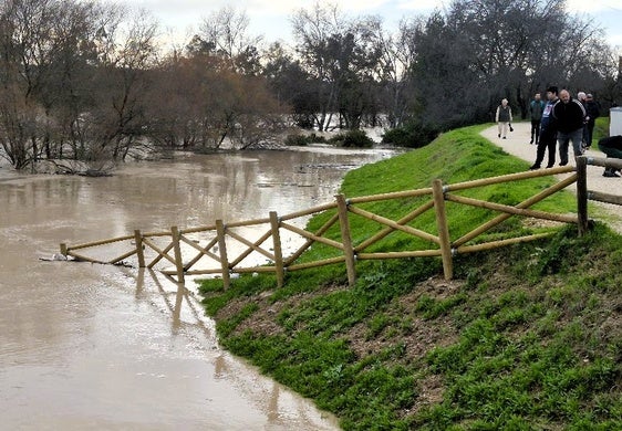 Vecinos comprobaban el pasado jueves el estado de la mota del río a la altura del campo de fútbol.