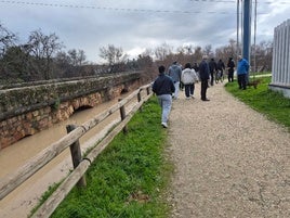 CIUDADANOS PASEANDO POR LA MOTA EL PASADO DÍA 6 DE FEBRERO, CON UN RÍO QUE CASI TAPONABA LOS OJOS DEL PUENTE ROMANO.