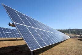 LAS PLANTAS ESTÁ GENERANDO DEBATE EN LA COMARCA.