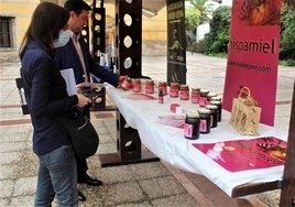 Exosición de miel de la zona en el Palacio los Niños de Don Gome.