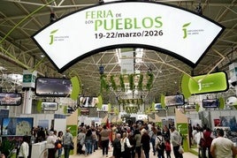 Púlico asistente a una de las jornadas de la Feria. ideal