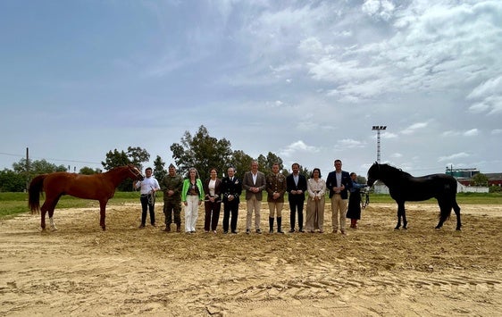 La Parada de Sementales posiciona a Andújar en referente del sector equino