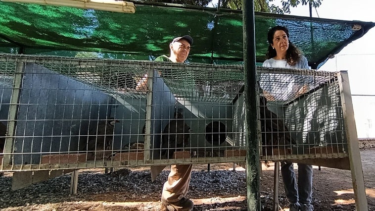 La Consejería de Medio Ambiente apuesta por la biodiversidad del parque natural Sierra de Andújar