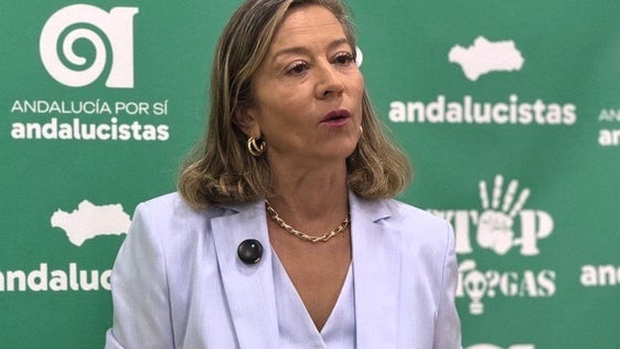 Los andalucistas van a diseñar un proyecto de futuro para la ciudad de Andújar