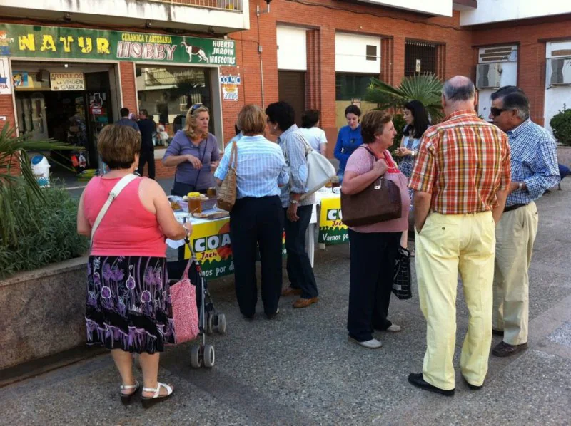 El consejo local de mujer e igualdad se constituye para promover la igualad de oportunidades