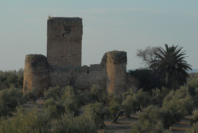 Amigos del Patrimonio denuncia el estado del Castillo de la Aragonesa