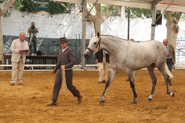 Anducab, orgullo del sentir ecuestre y muestra de la evolución histórica de la Feria de Andújar
