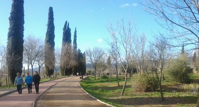60 alumnos participarán en una gymkana de pruebas matemáticas