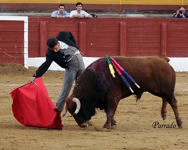 Éxito de diestros y ganadería en el festival taurino a beneficio de Montilla Bono