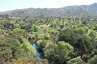 Andújar y la perra gorda