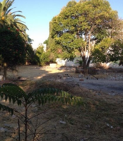 Los Jardines Del Val se remodelarán en breve porque se incluirán en el Emplea Joven
