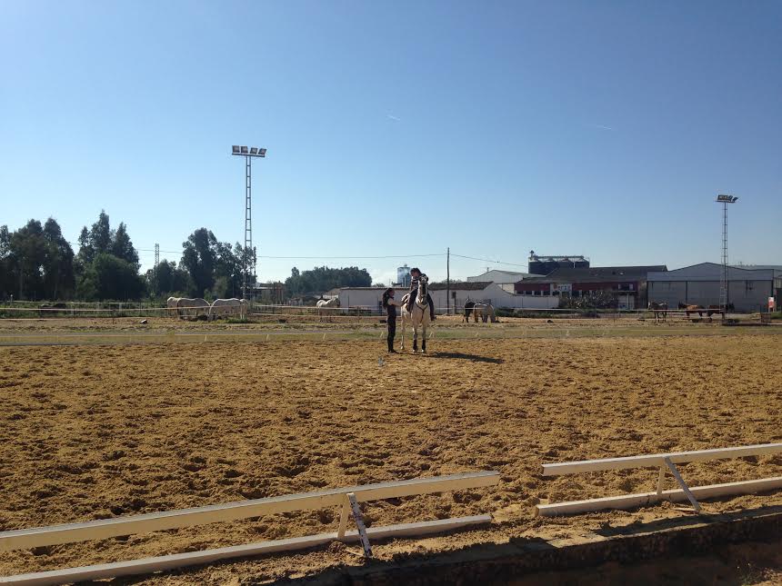 El Centro Municipal de Equitación experimenta mejoras para atraer actividades