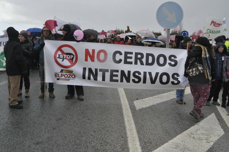 Un empresario pretende construir un complejo de siete granjas de cerdos en una extensión de 1.100 hectáreas en Dehesas de Guadix a dos kilómetros de Cuevas del Campo 
