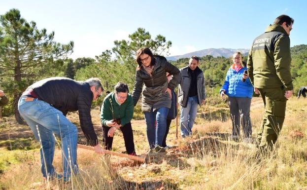 La Sierra de Baza, escenario de una reforestación participativa con alumnado del IES Alcrebite