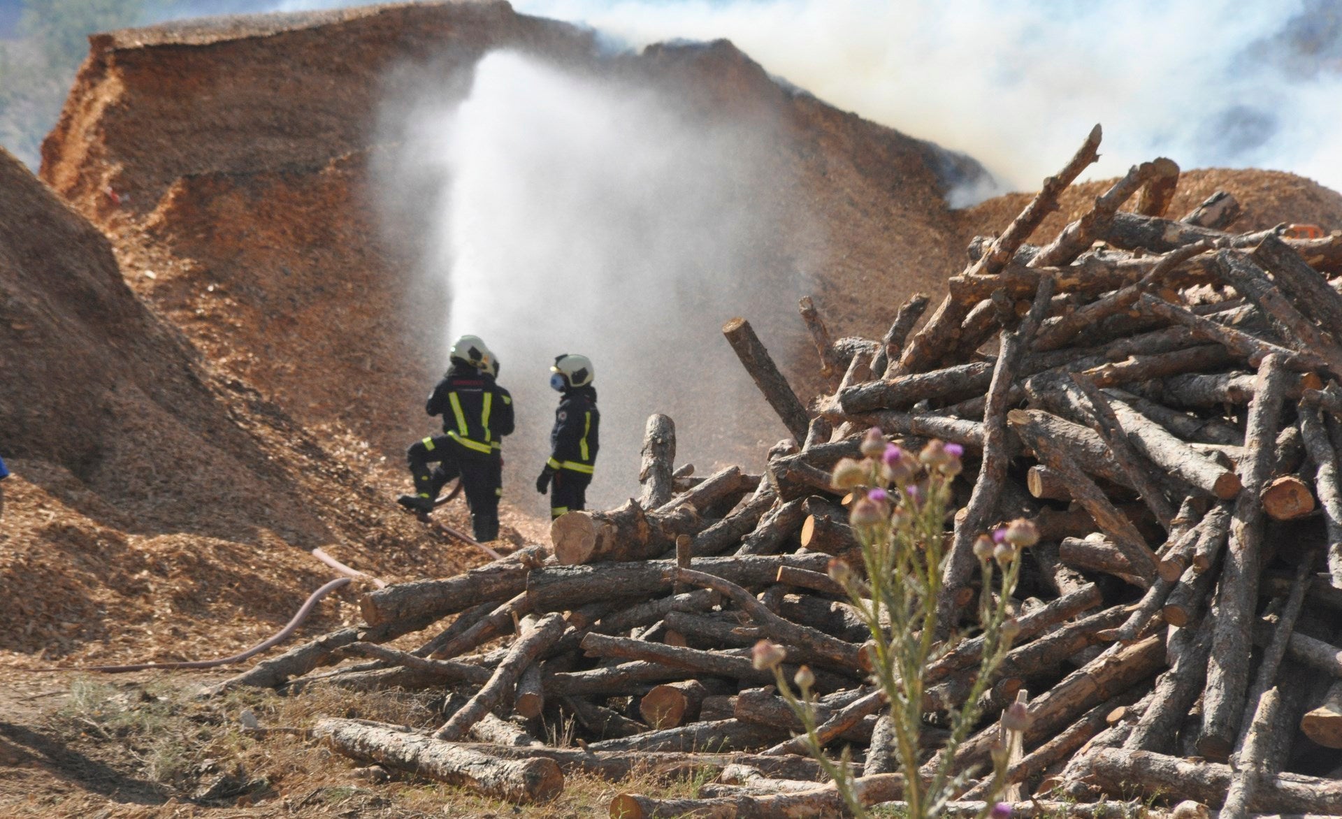 Fotos: Las imágenes del incendio de la fábrica de pellets de Huéscar