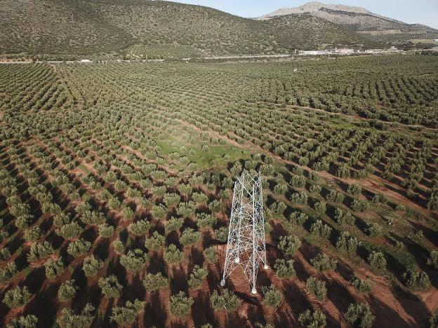 La torre eléctrica que demuestra que las obras de la línea 400 continúan. 
