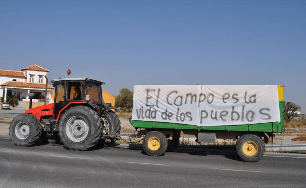 Protesta celebrada en Baza en 2017. 