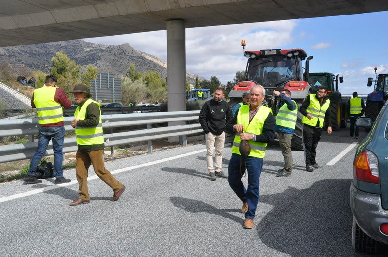 Decenas de tractores marcharon en el norte de la provincia.