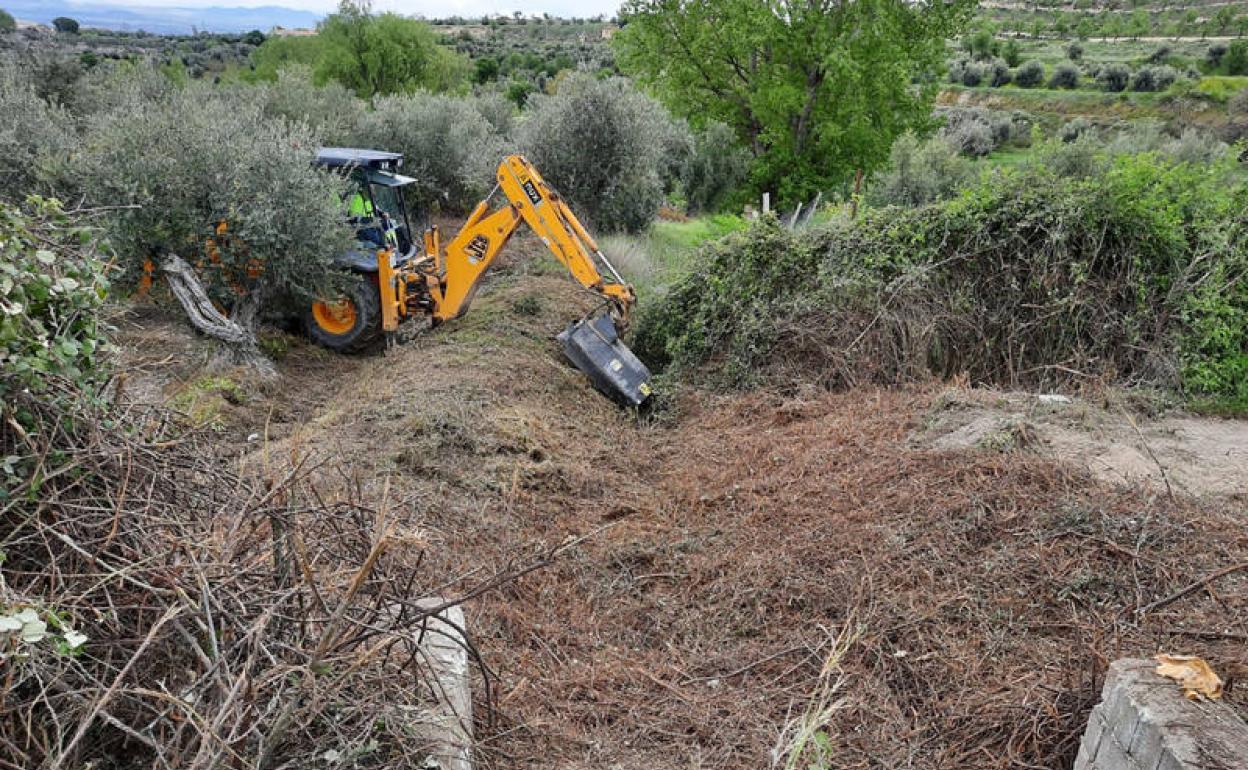 El Ayuntamiento de Baza limpia el entorno del manantial de las Siete Fuentes