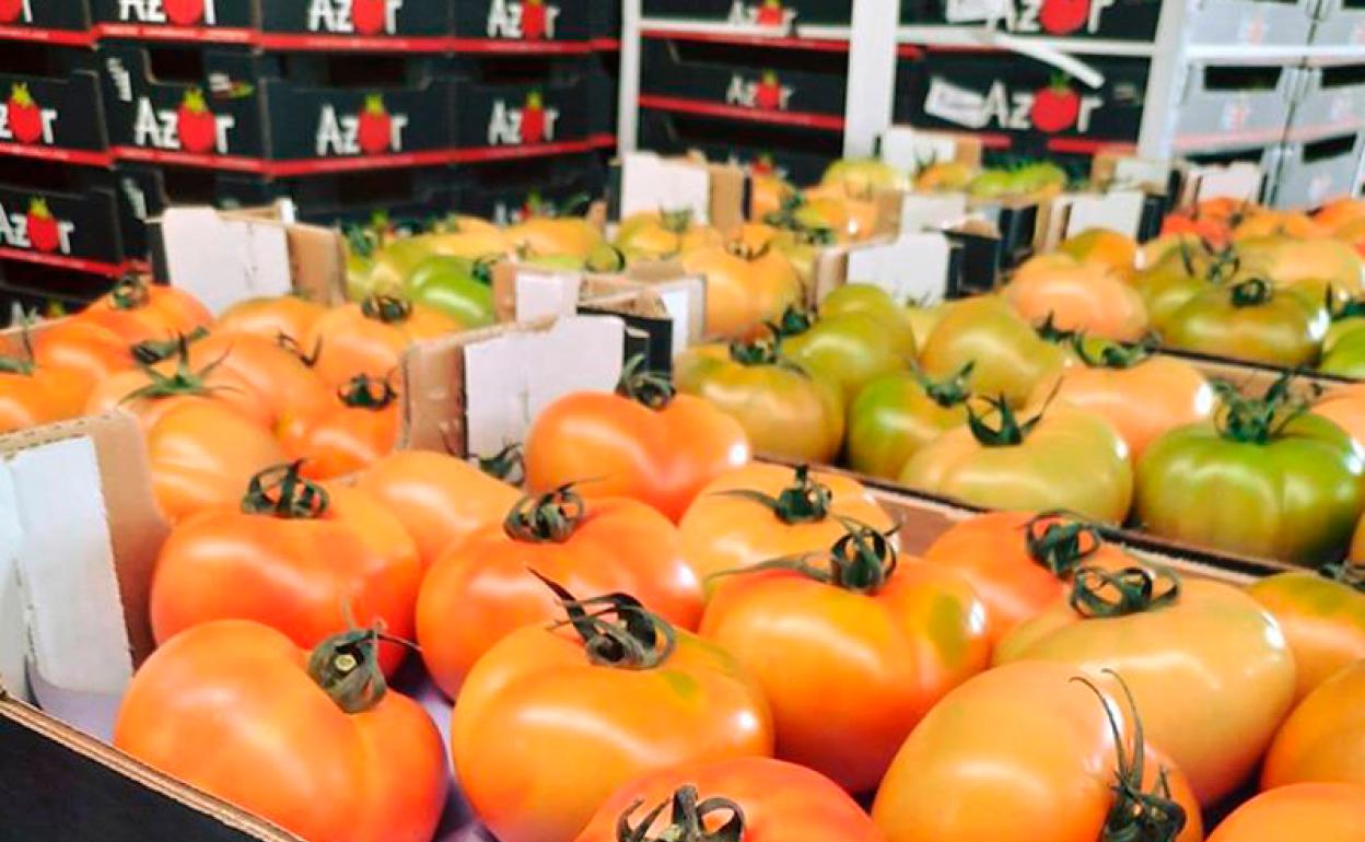 Punto de venta directa para productos agrícolas locales en Baza