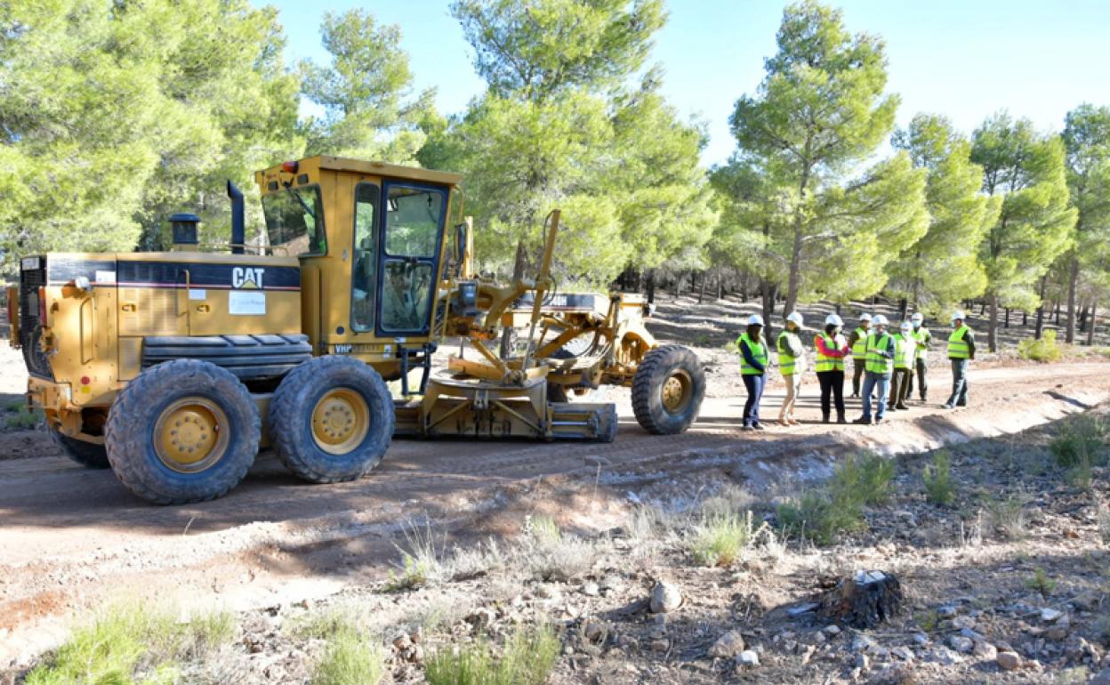 Retroniveladora en un camino del PN Sierra de Baza 