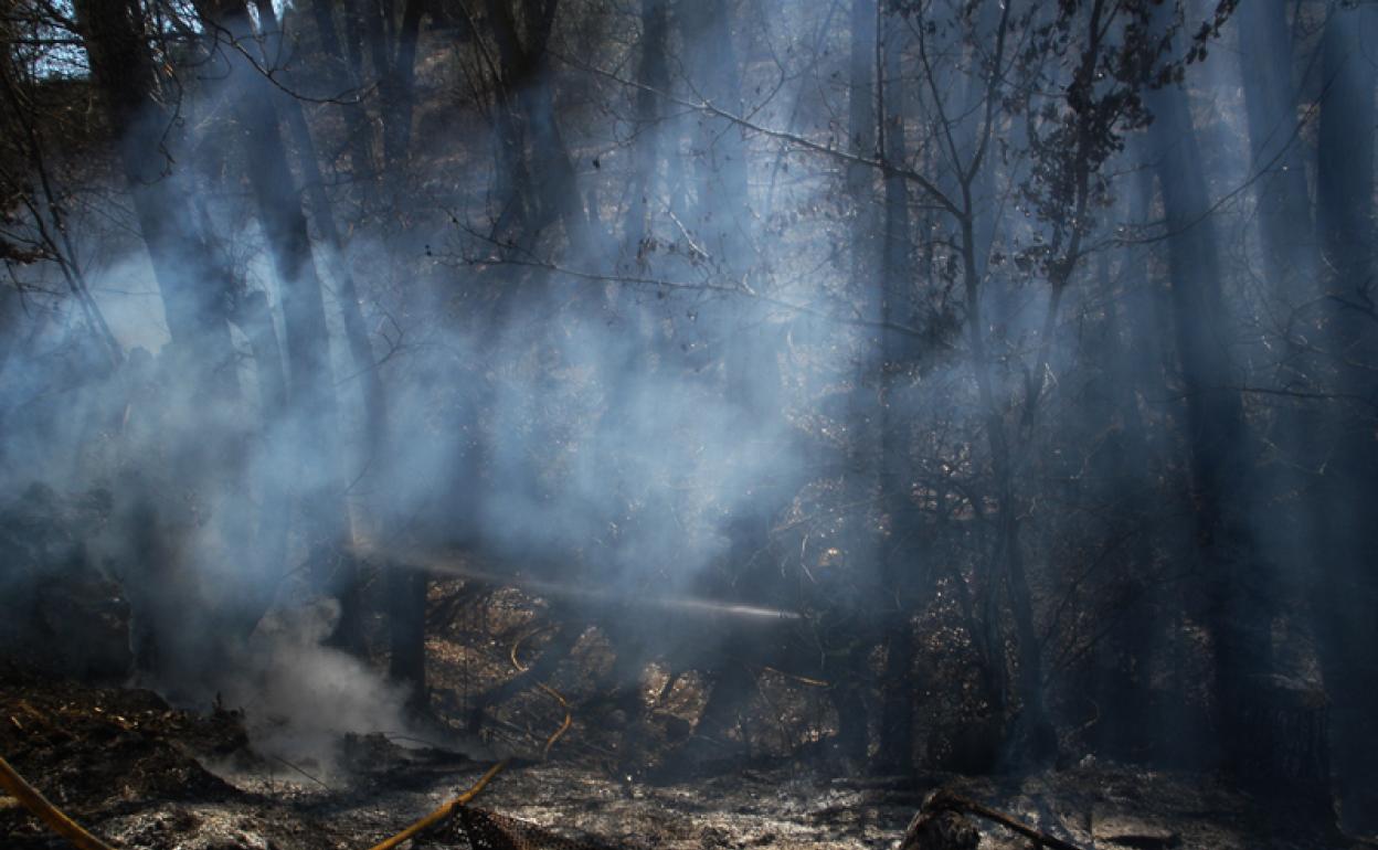 Incendio anterior en el mismo lugar que anoche