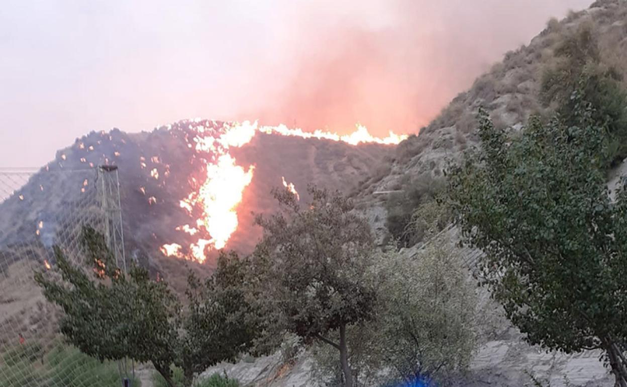 El fuego se acercó peligrosamente a las viviendas del Rejano