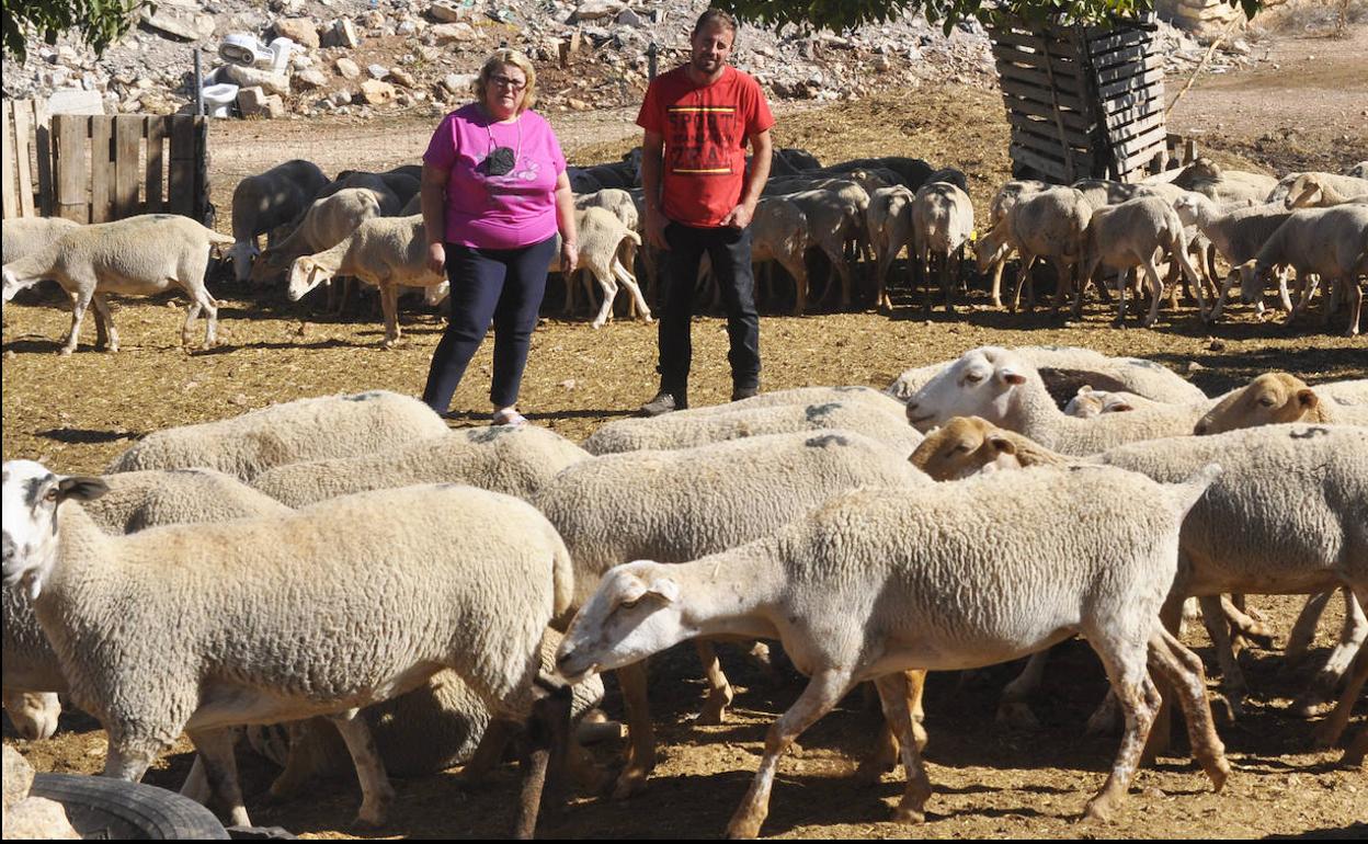 María y su hijo posan junto a una parte de las ovejas que tienen