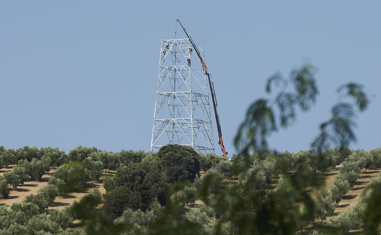 Obras de una torre de la línea 400, el año pasado.
