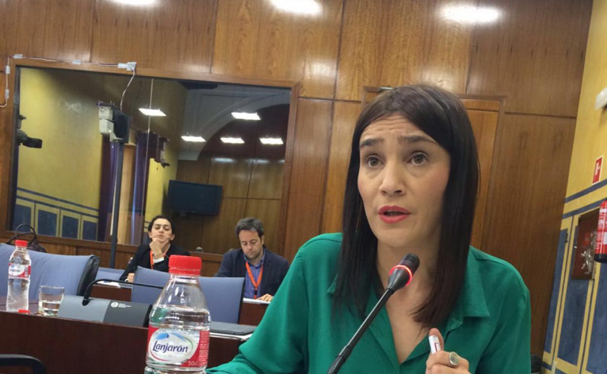Olga Manzano, Parlamentaria del PSOE 