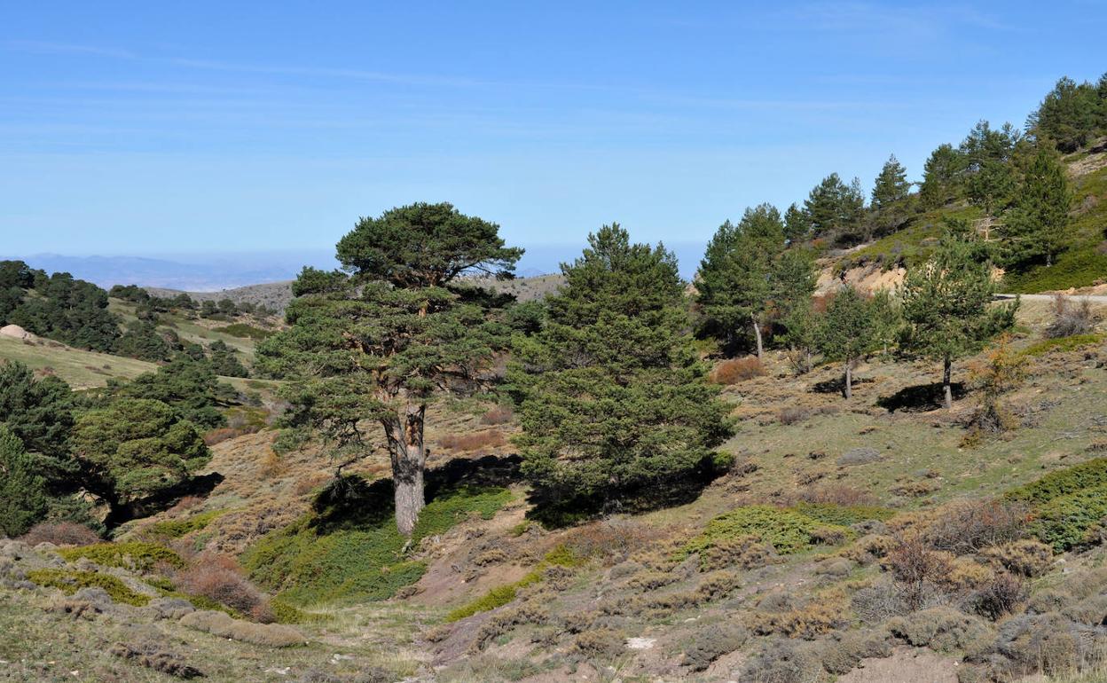 Parque Natural de la Sierra de Baza