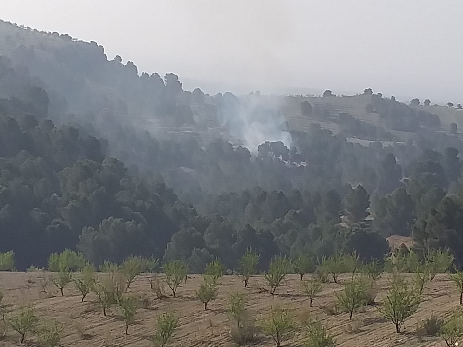 Incendio declarado en el término municipal de Cortes de Baza