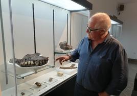 Parte de una mandíbula de elefante hallada en el yacimiento de Baza