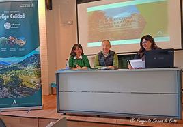 Presidencia de la Junta Rectora